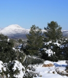 IMG_0507-1024x683-998x665